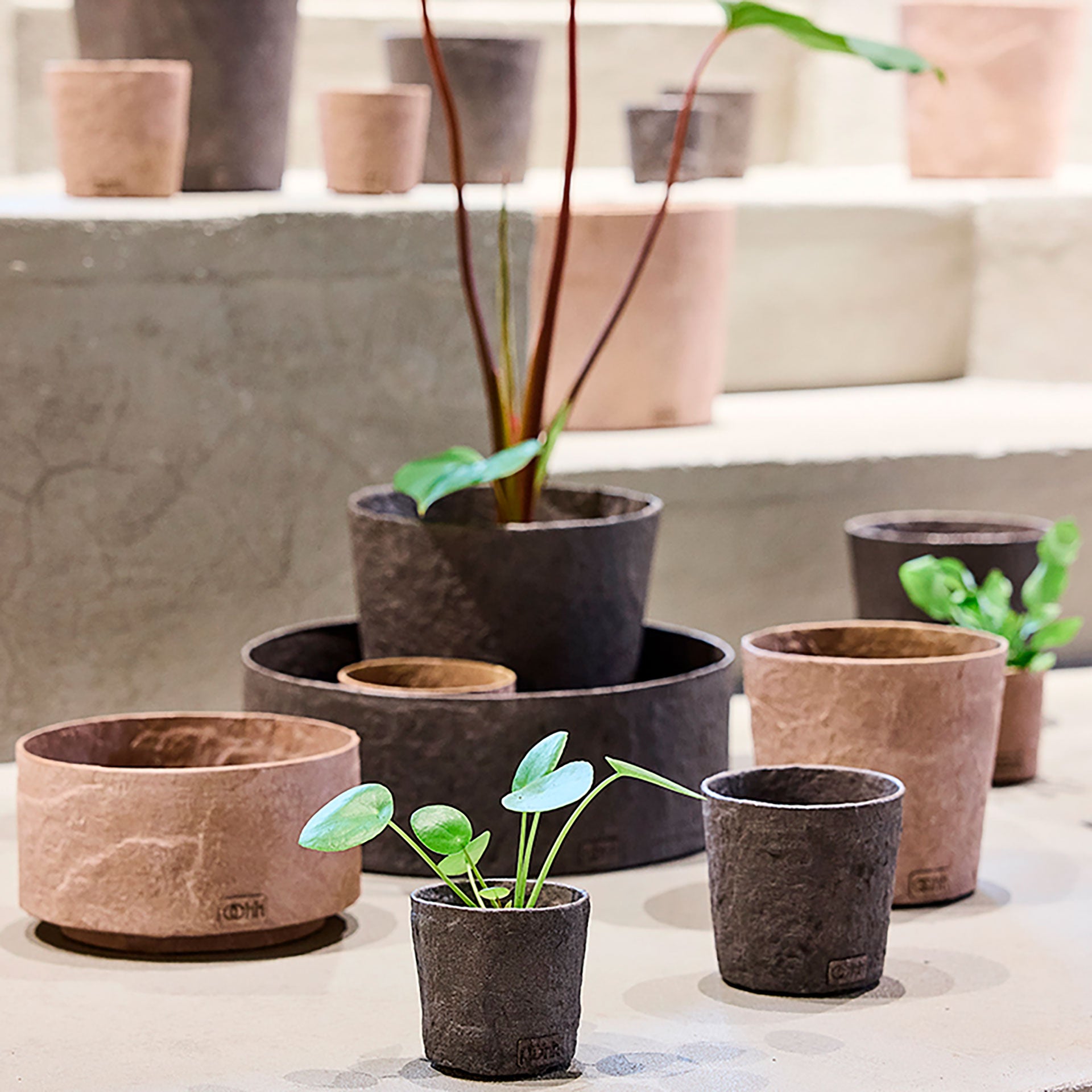 Håndlavet Terra opbevaringsbakke i Zero Waste materiale - Light Brown