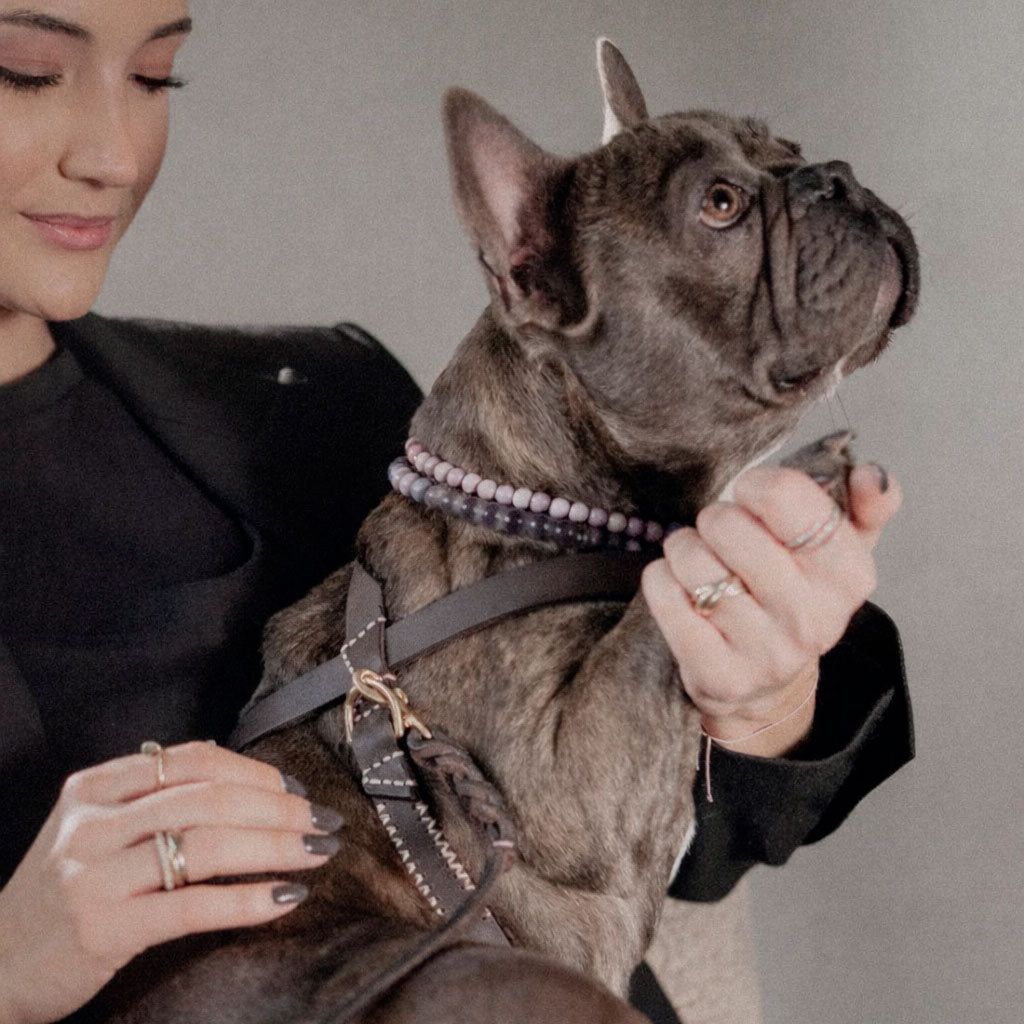 Flynn Infinity hundesele i ægte læder - Deep Brown