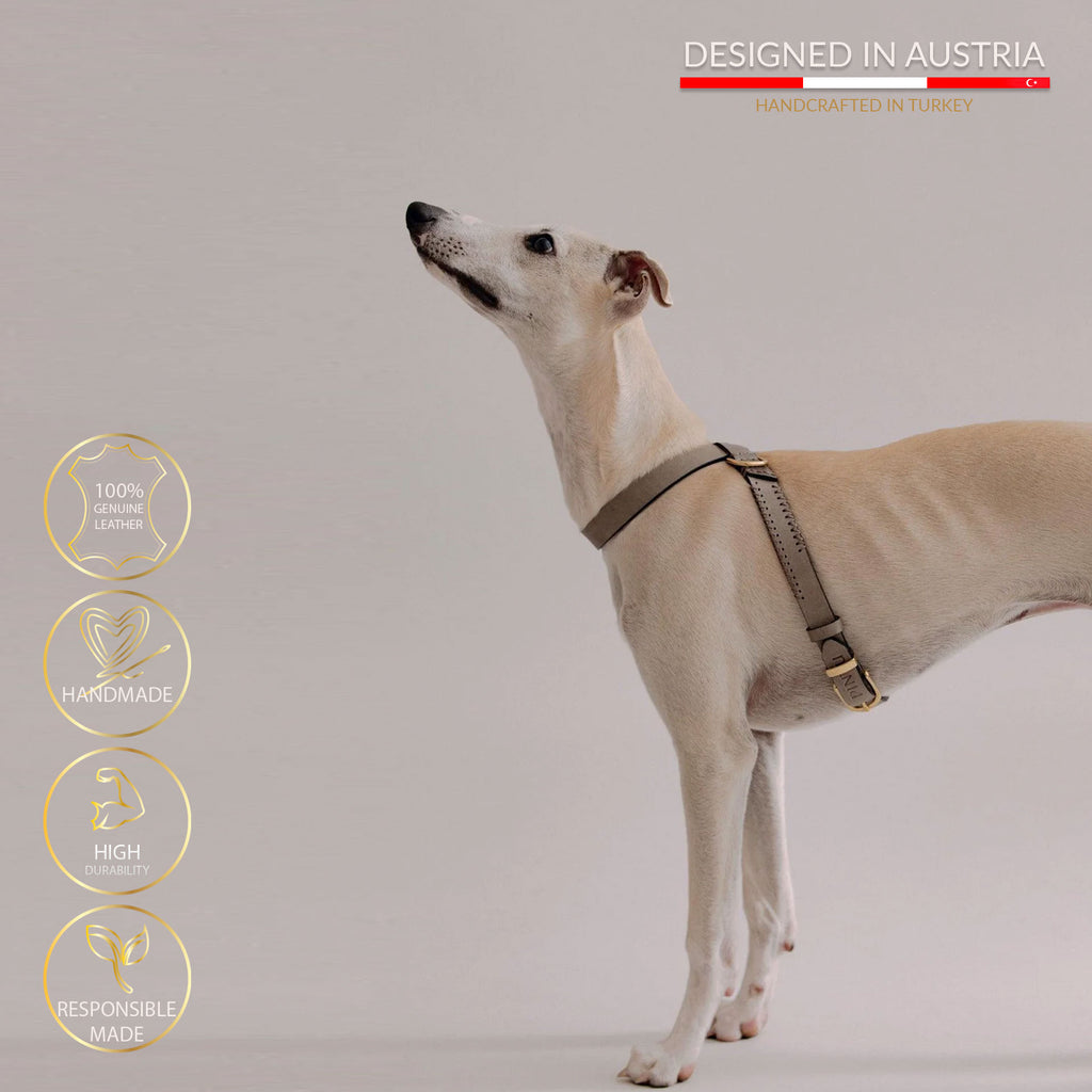 Flynn Infinity hundesele i ægte læder - Nordic Taupe