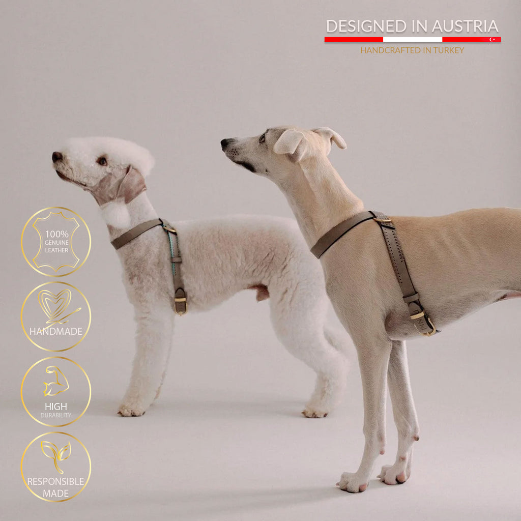 Flynn Infinity hundesele i ægte læder - Nordic Taupe