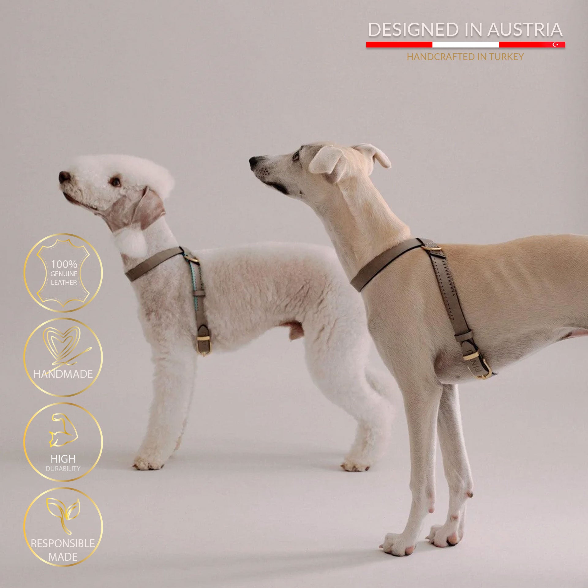 Flynn Infinity hundesele i ægte læder - Nordic Taupe