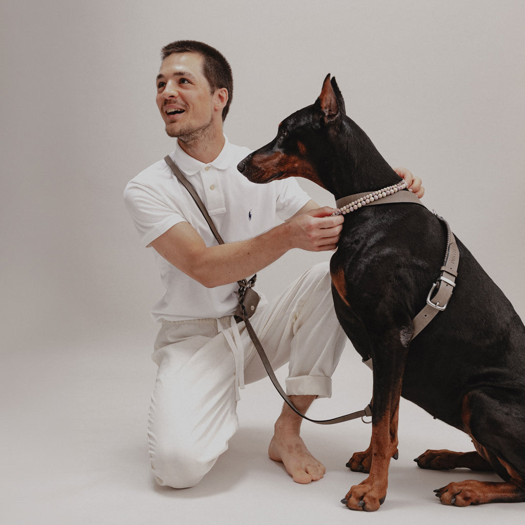 Lumas håndfri og justerbar hundesnor i ægte læder - Nordic Taupe