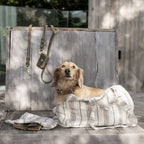 Lumas håndfri og justerbar hundesnor i ægte læder - Nordic Taupe
