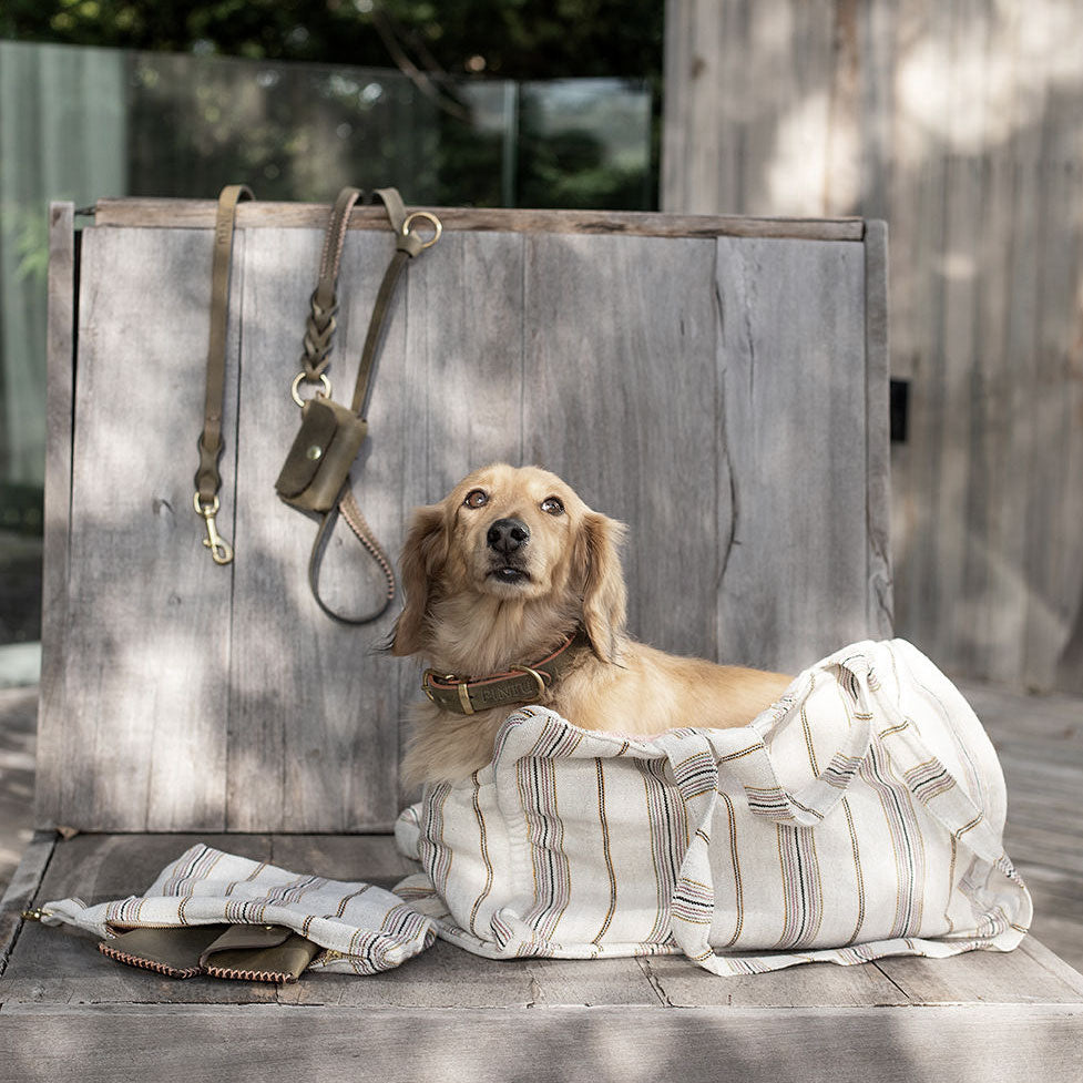 Lumas håndfri og justerbar hundesnor i ægte læder - Nordic Taupe