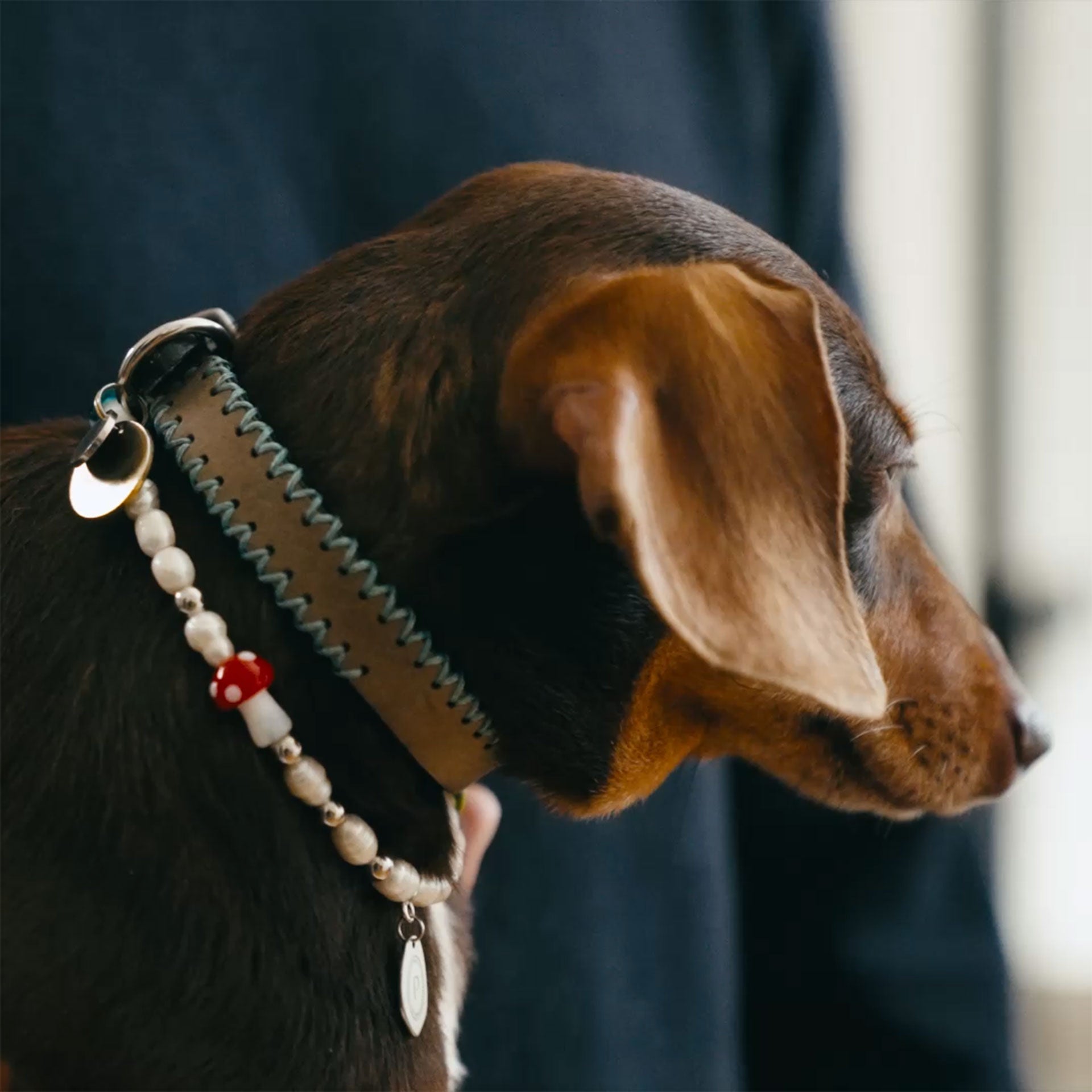 Studio 54 håndlavet unika hundehalskæde