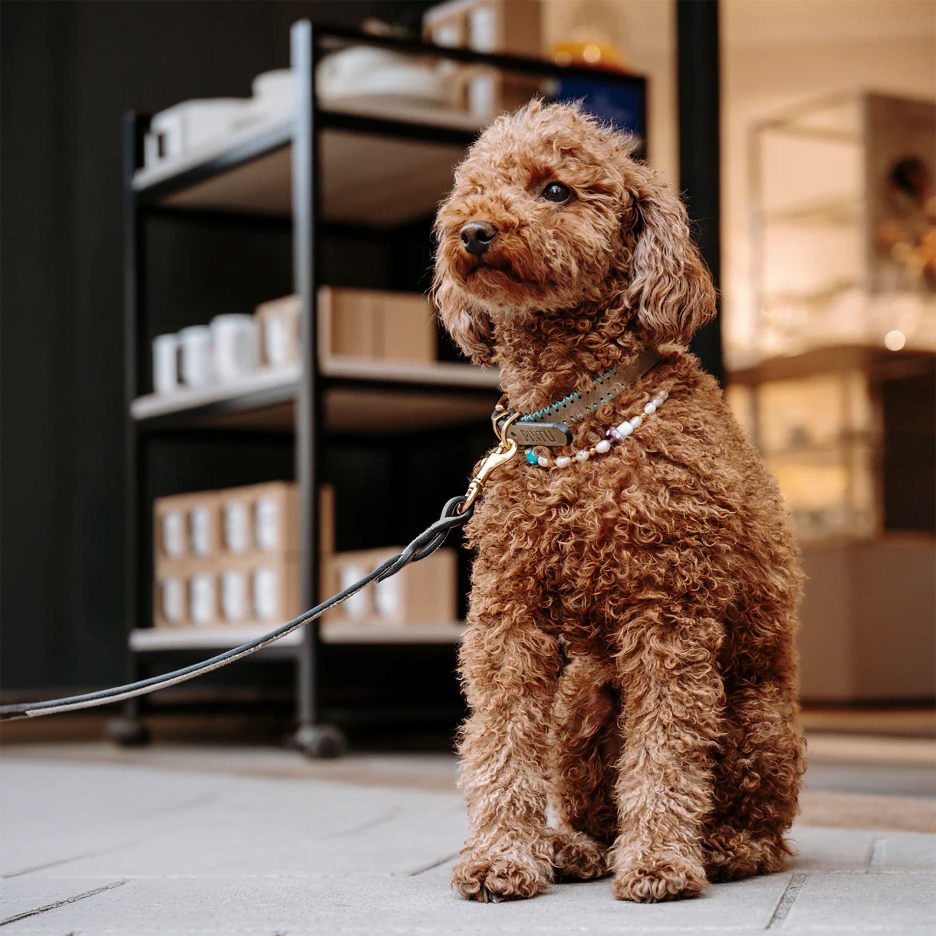 Porthos hundehalsbånd i ægte læder - Nordic Taupe