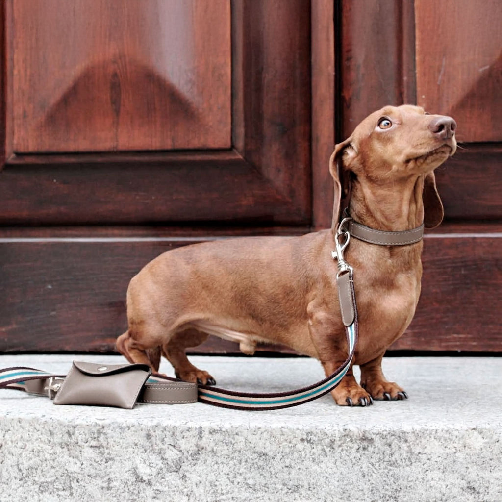 Urban hundesnor i vegansk AppleSkin™ og vævet bånd