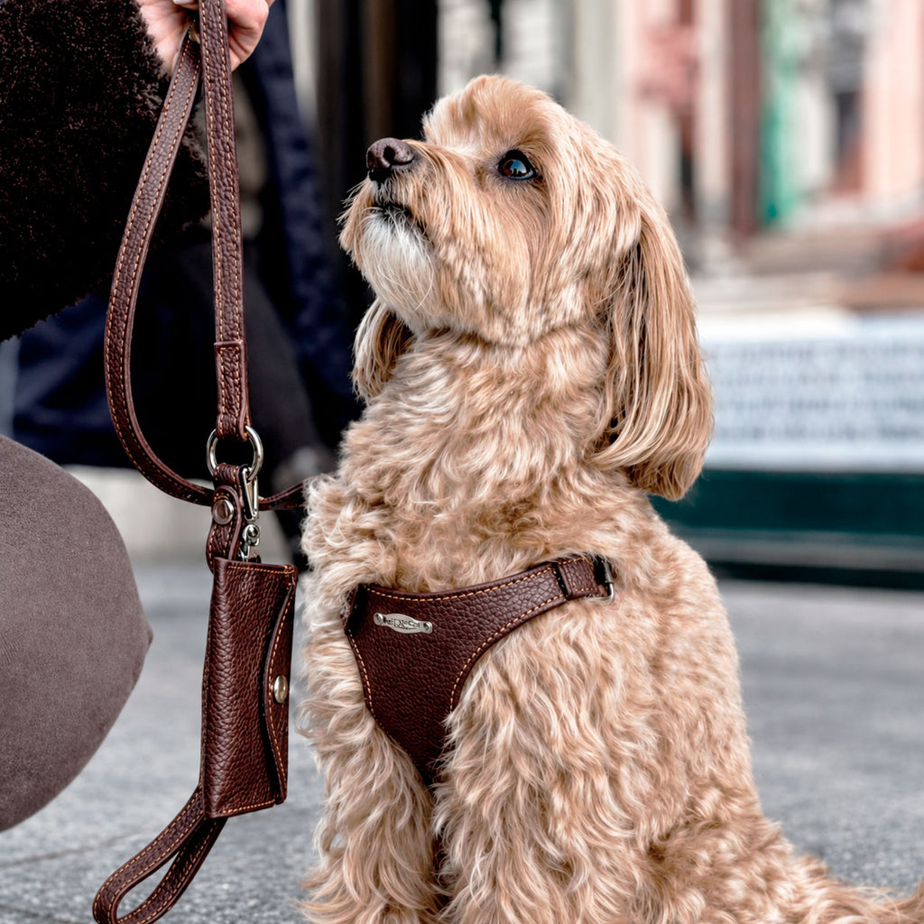 Ergonomisk Bustier hundesele i ægte læder - Deep Brown