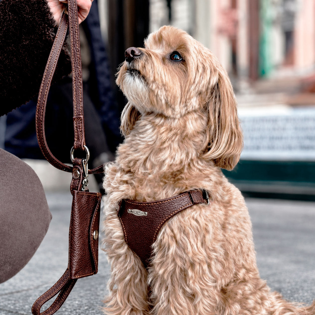 Ergonomisk Bustier hundesele i ægte læder - Deep Brown