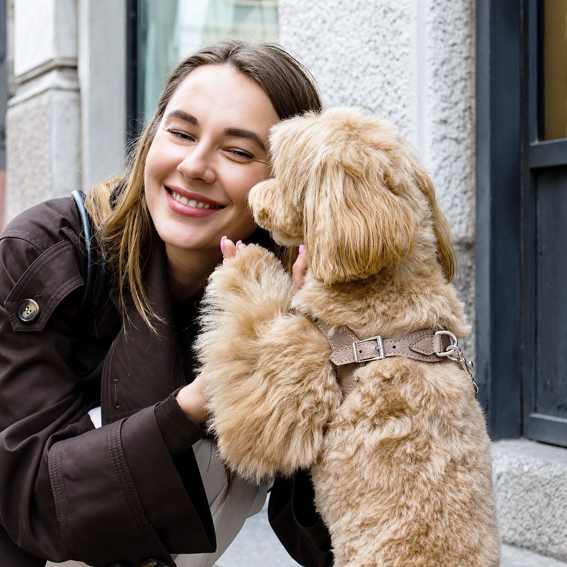Ergonomisk Bustier hundesele i ægte læder - Nordic Taupe