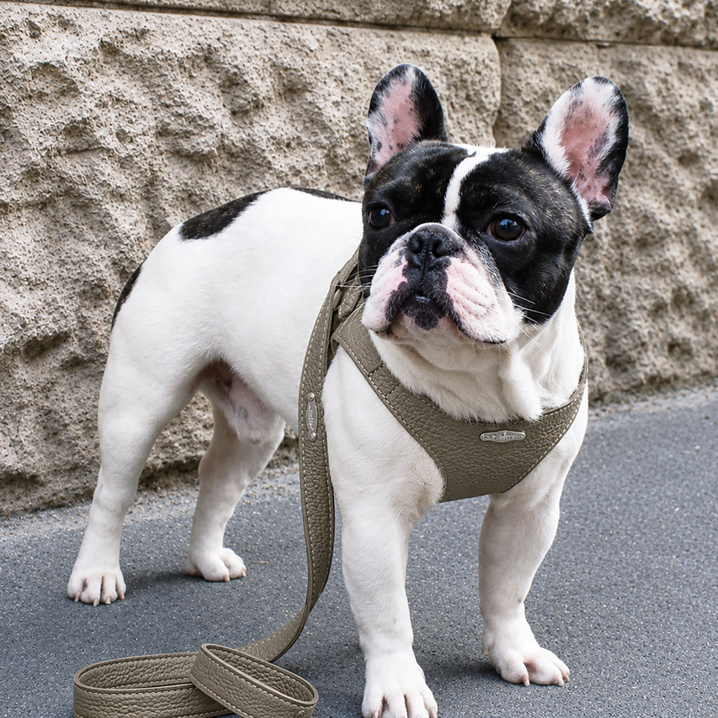 Ergonomisk Bustier hundesele i ægte læder - Army