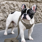 Ergonomisk Bustier hundesele i ægte læder - Army