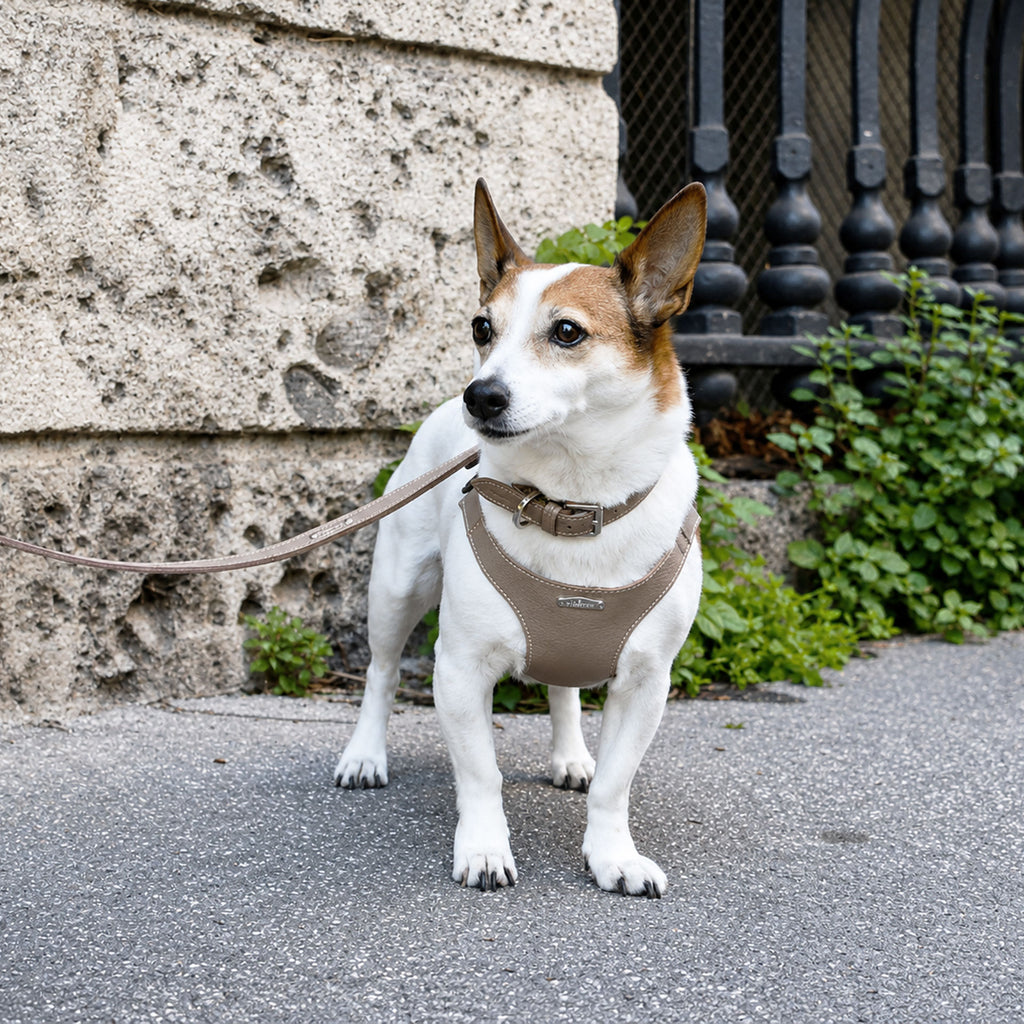 Ergonomisk Bustier hundesele i ægte læder - Nordic Taupe