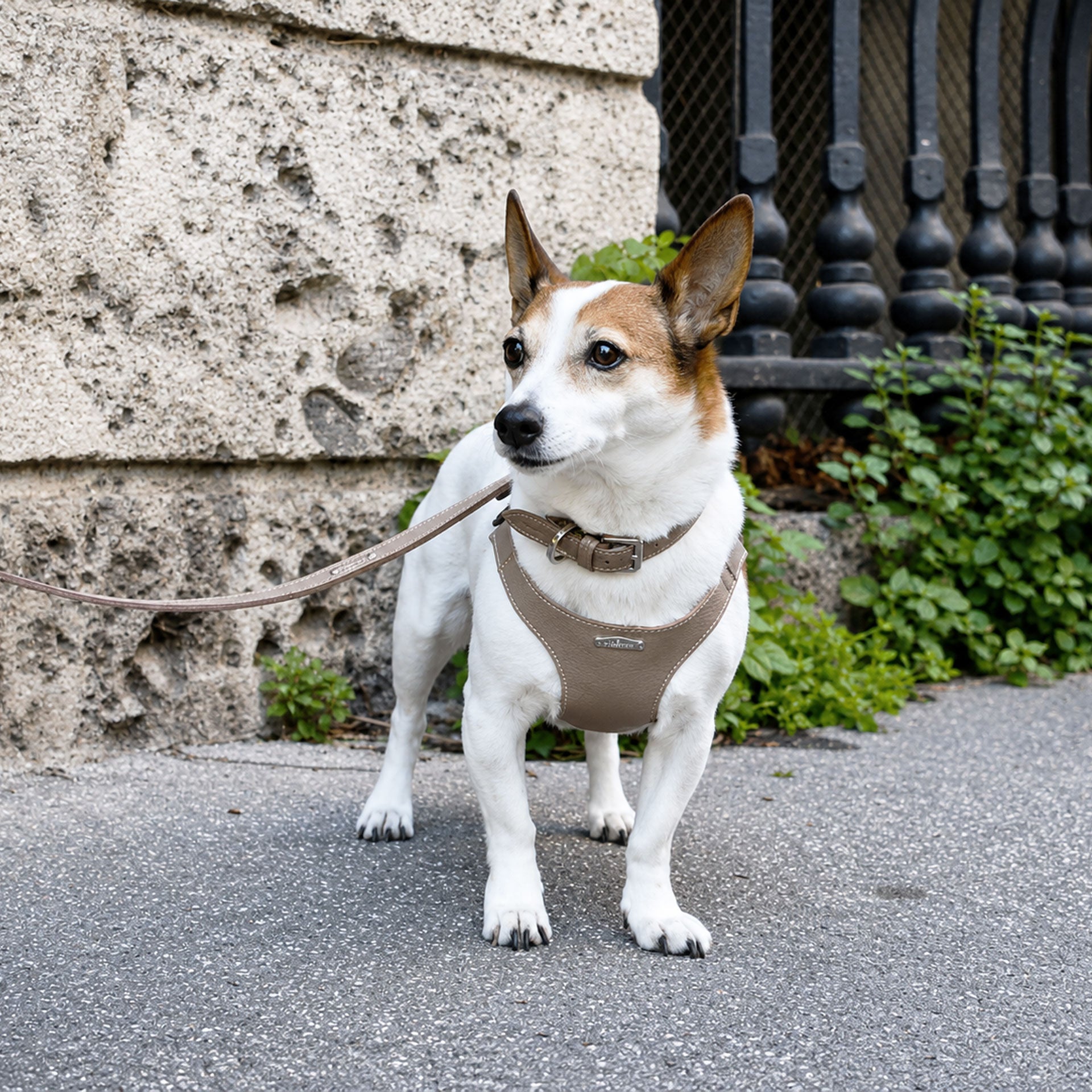 Ergonomisk Bustier hundesele i ægte læder - Nordic Taupe