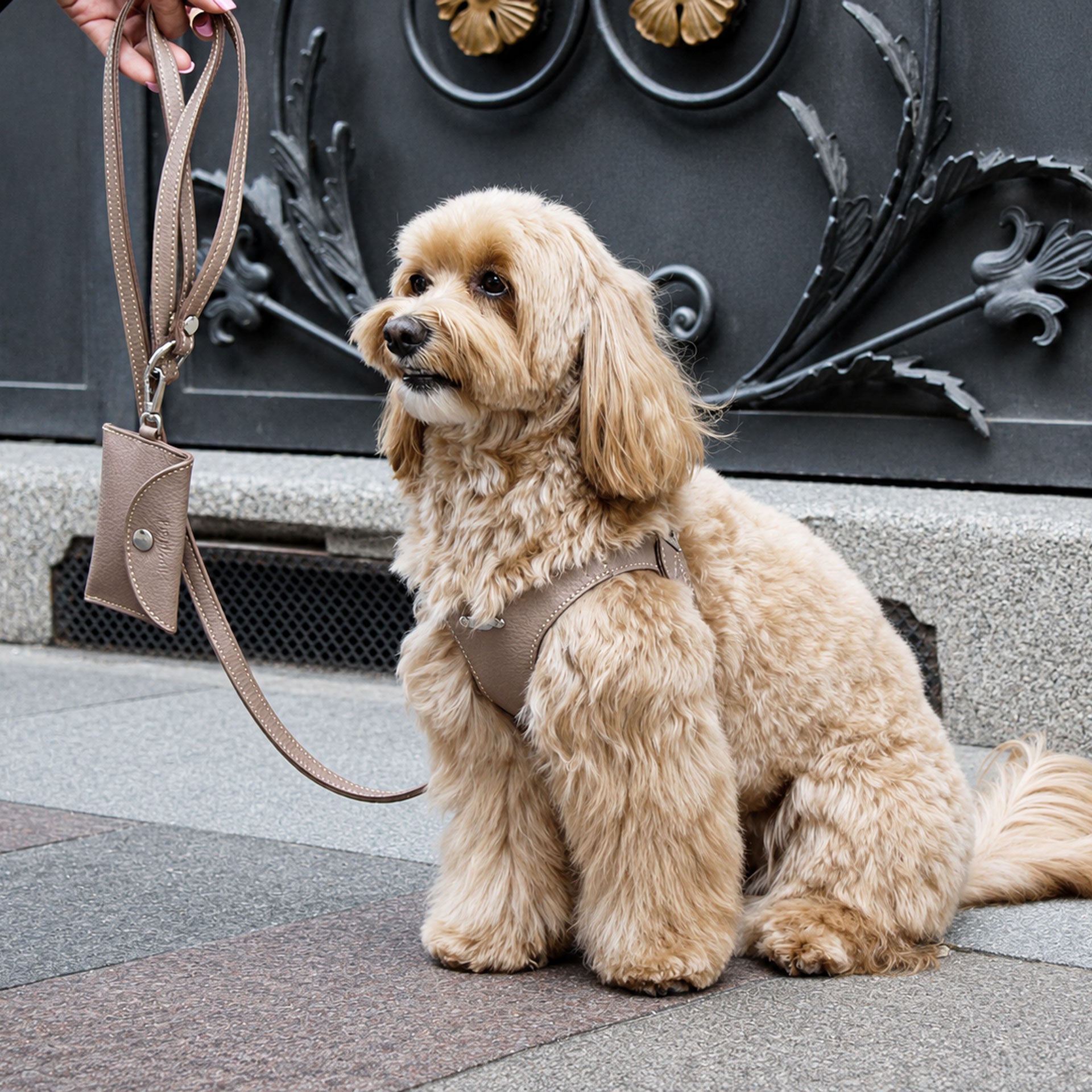 Ergonomisk Bustier hundesele i ægte læder - Nordic Taupe