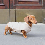 JACKIE • No Stress hundetrøje i angorablanding - Beige
