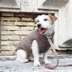 Vandtæt PRAGA vinterfrakke til hunde