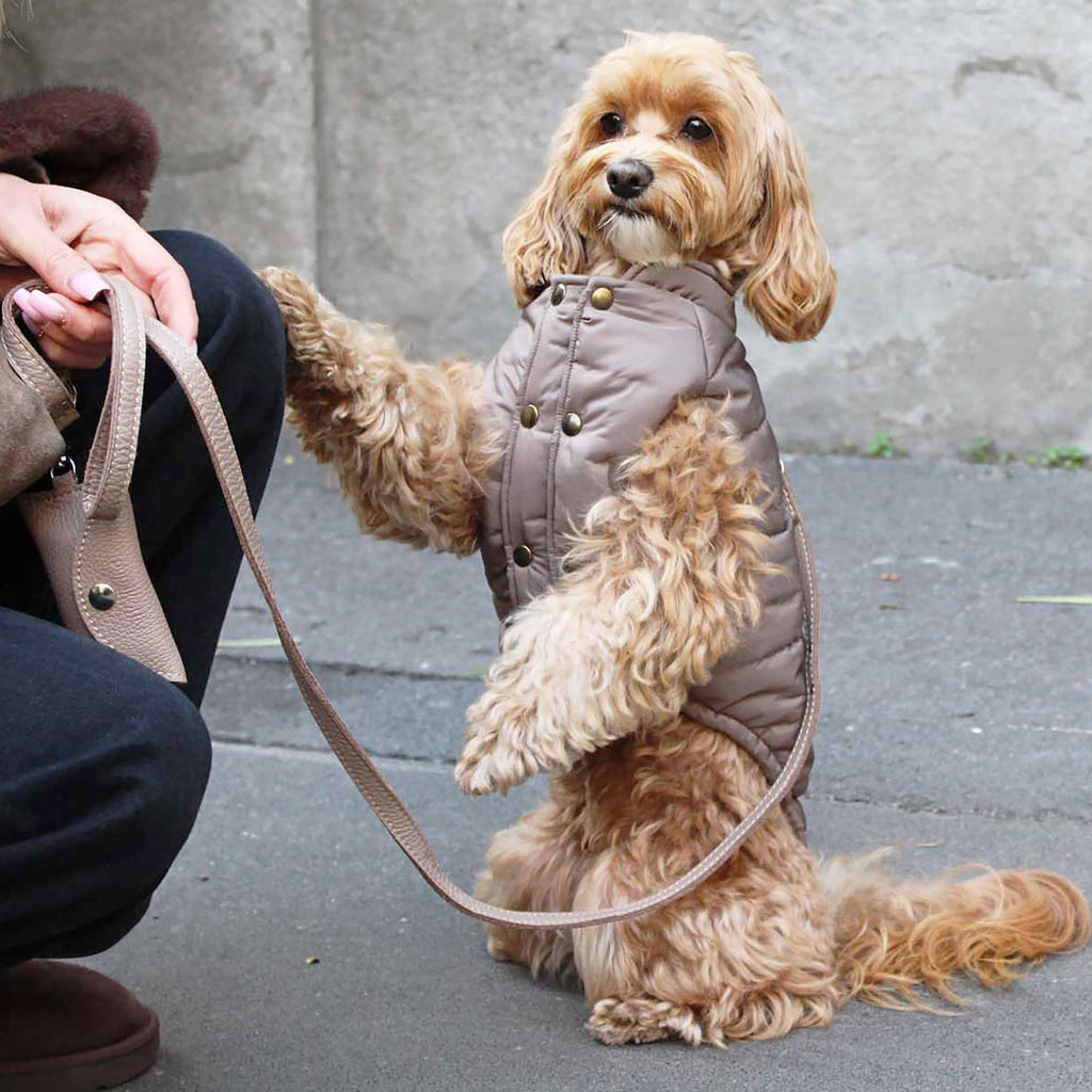Vandtæt PRAGA vinterfrakke til hunde