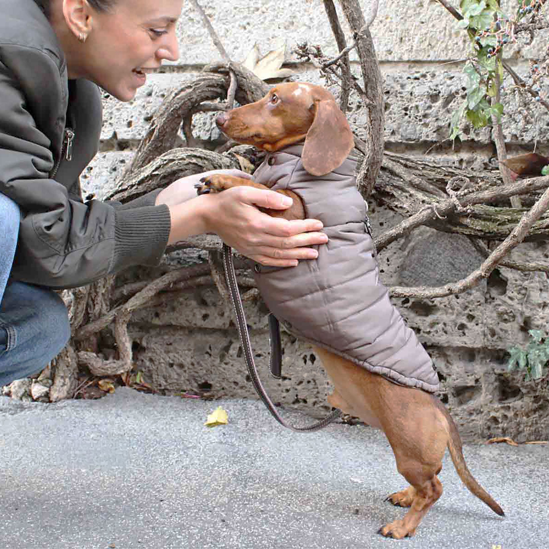 Vandtæt PRAGA vinterfrakke til hunde