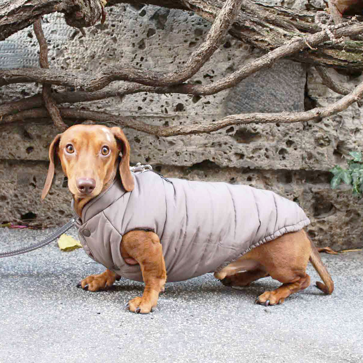 Vandtæt PRAGA vinterfrakke til hunde