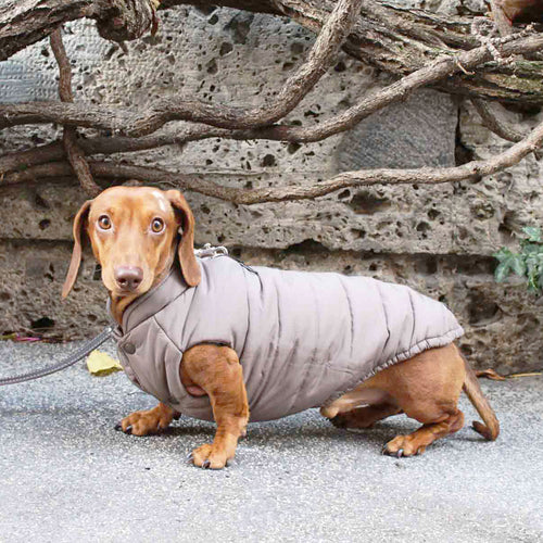 PRAGA • vandtæt og vendbar vinterfrakke til hunde - Nordic Taupe