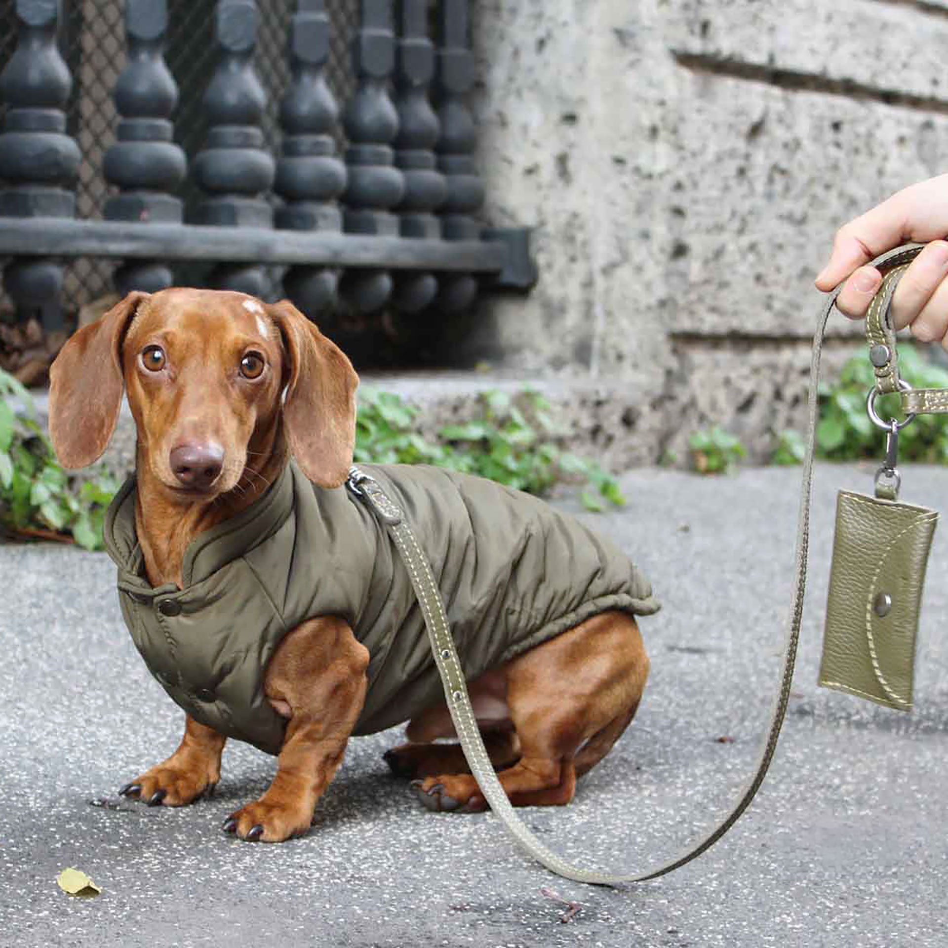 VIENNA vandtæt og vendbar vinterfrakke til hunde - Army