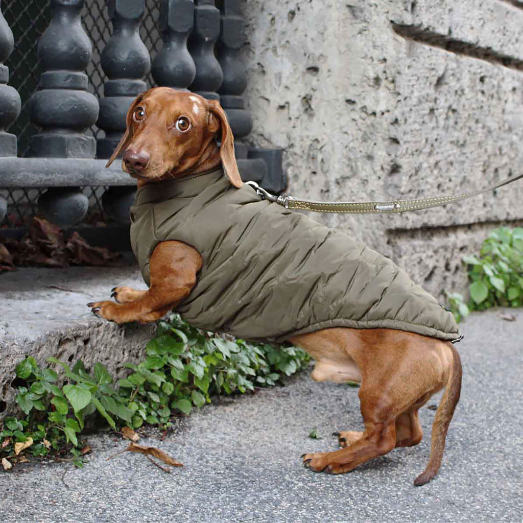 VIENNA vandtæt og vendbar vinterfrakke til hunde - Army