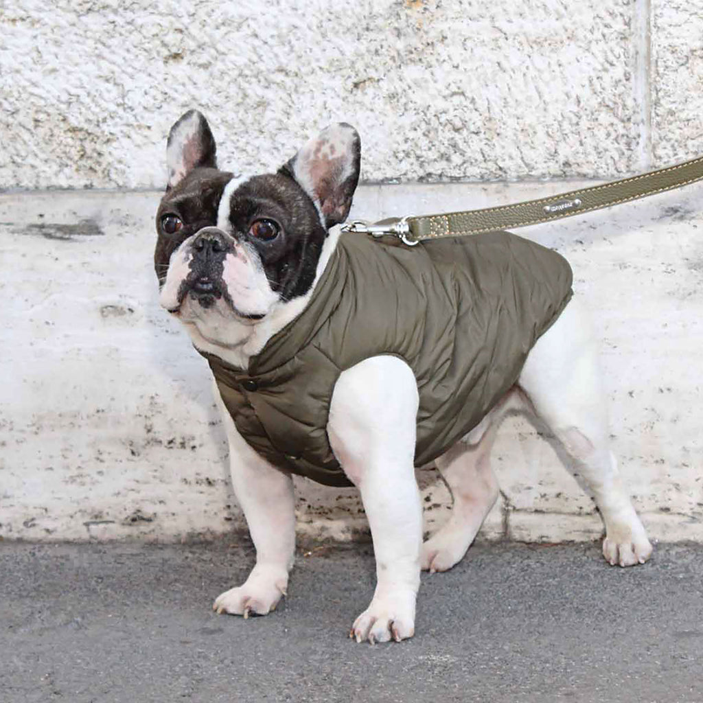 VIENNA vandtæt og vendbar vinterfrakke til hunde - Army