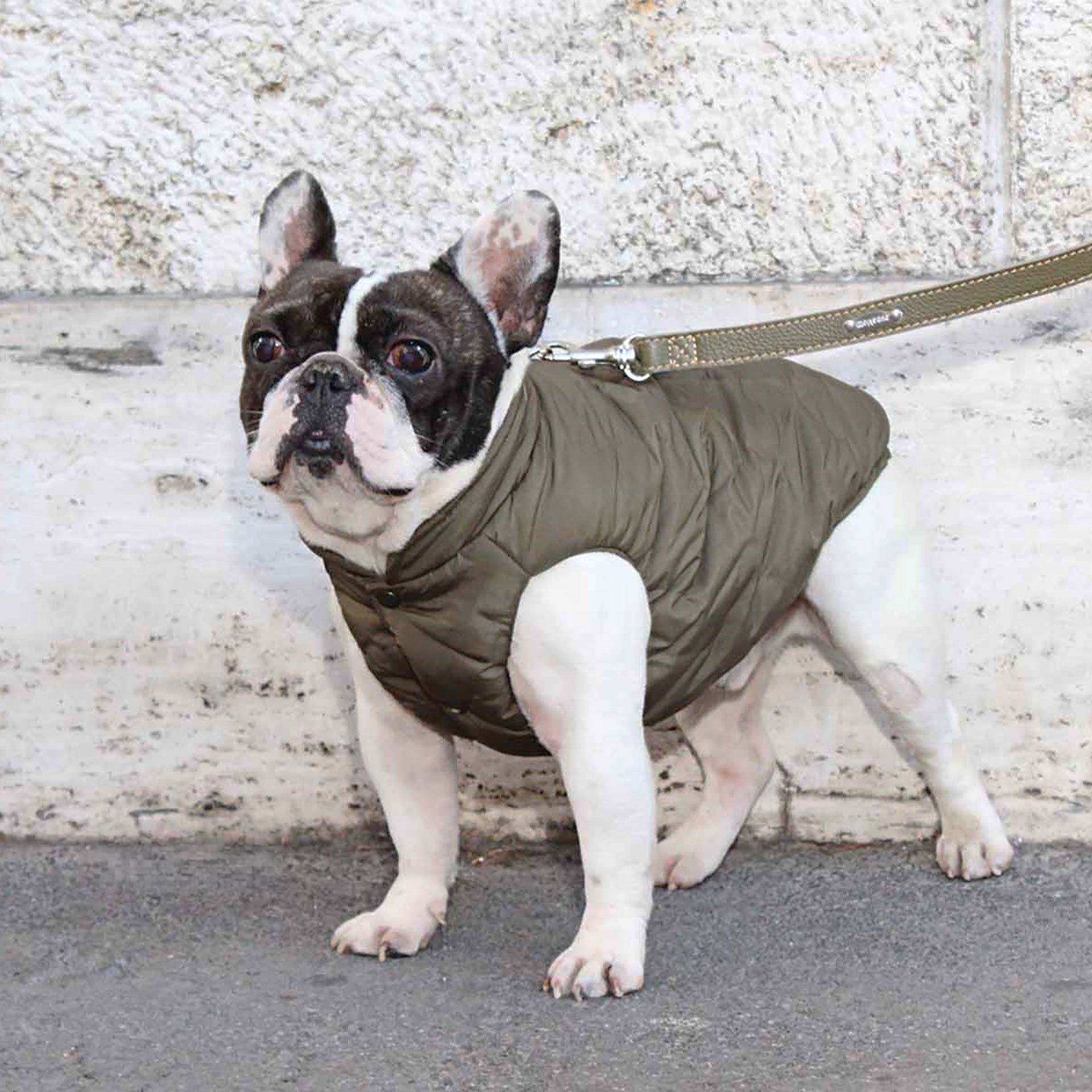 VIENNA vandtæt og vendbar vinterfrakke til hunde - Army