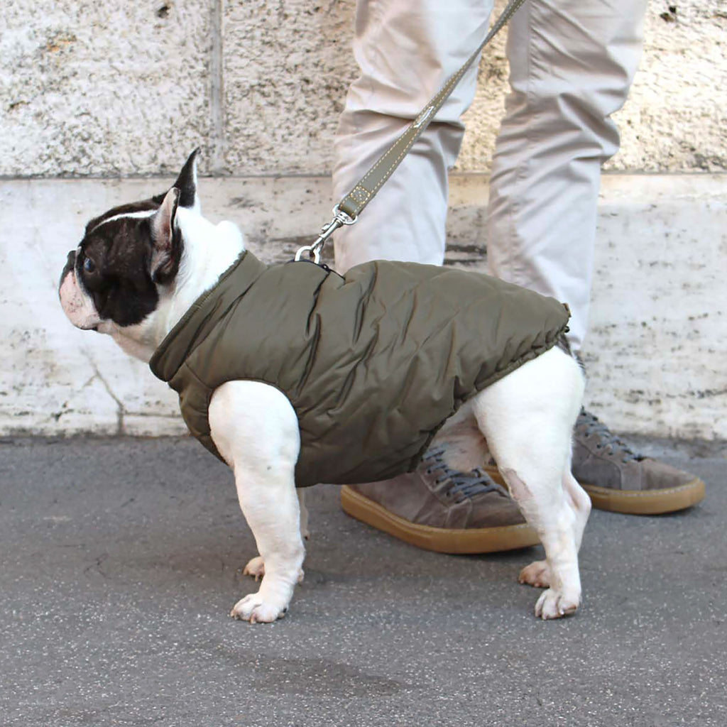 VIENNA vandtæt og vendbar vinterfrakke til hunde - Army