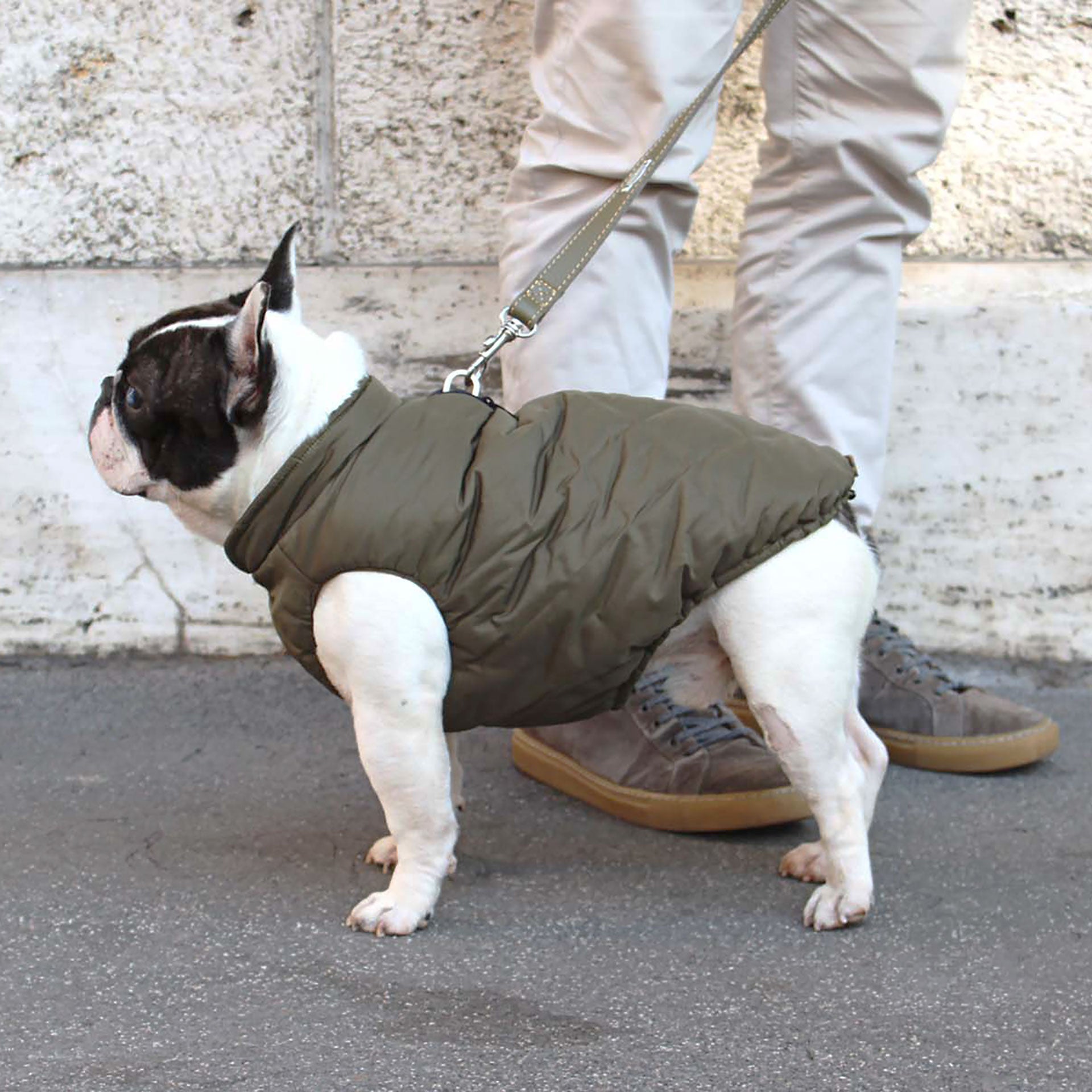 VIENNA vandtæt og vendbar vinterfrakke til hunde - Army