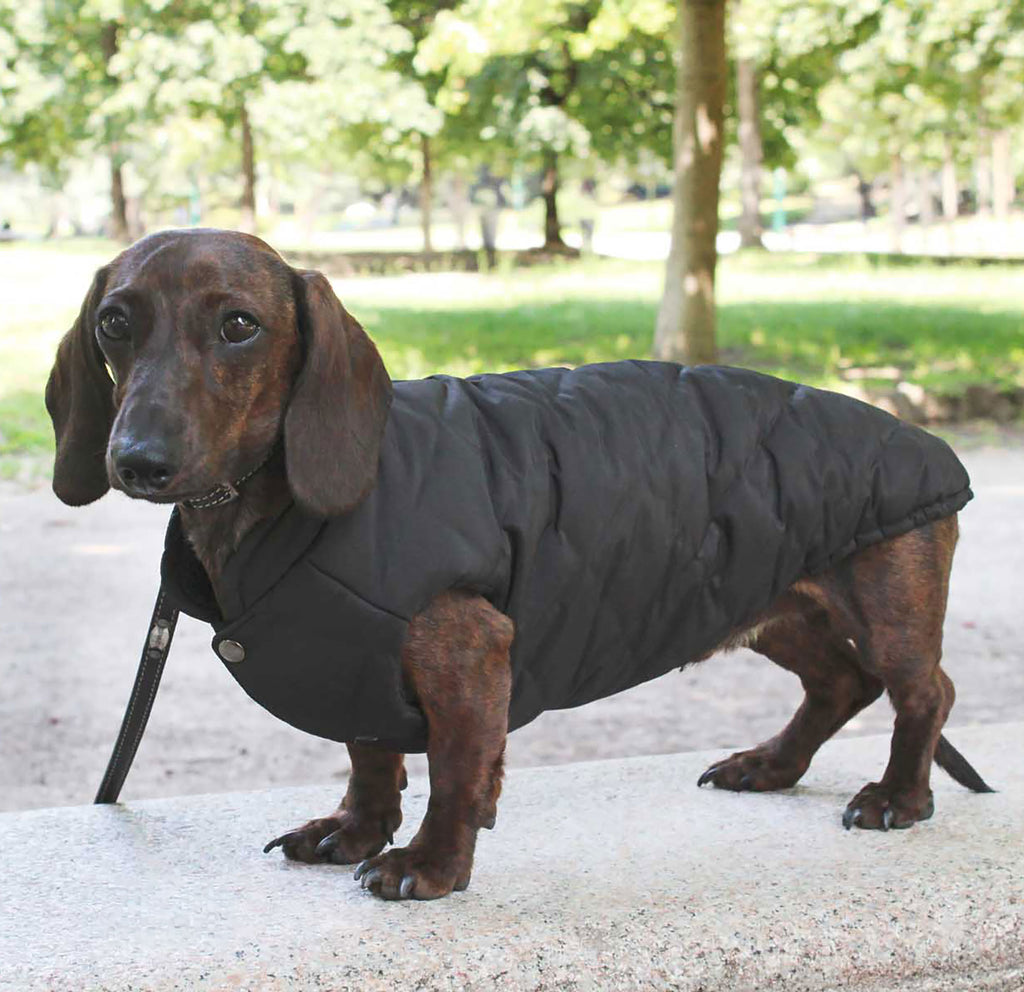 VIENNA vandtæt og vendbar vinterfrakke til hunde - Midnight Black