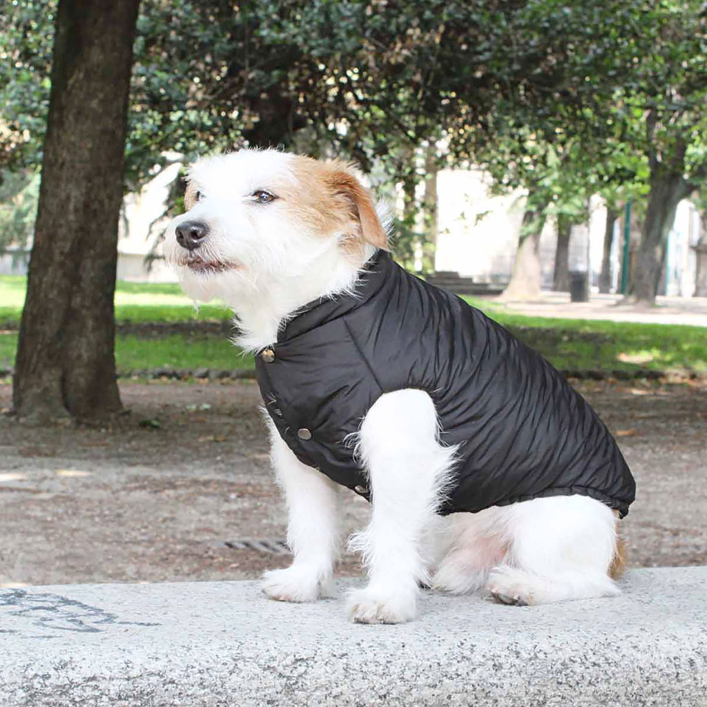 VIENNA vandtæt og vendbar vinterfrakke til hunde - Midnight Black