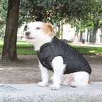 VIENNA vandtæt og vendbar vinterfrakke til hunde - Midnight Black