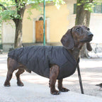 VIENNA vandtæt og vendbar vinterfrakke til hunde - Midnight Black